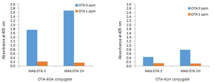 OTA-BSA 및 OTA-KLH 항원 합성여부 확인