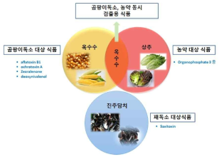 연구대상으로 선정된 식품유해화학물질과 대상 식품