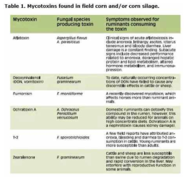 Pacific Field Corn Association에서 보고한 옥수수 중 주요 곰팡이독소 종류 출처: http://www.farmwest.com/node/982