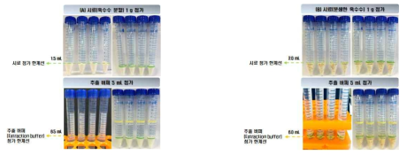 (A) 분쇄가 필요하지 않은 시료(옥수수 분말)와 (B) 분쇄한 시료(분쇄한 옥수수)의 전처리 과정 및 한계선 표시 과정