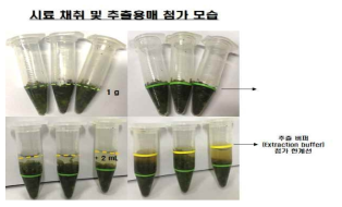 농약 검출용 키트 한계선 표시 과정