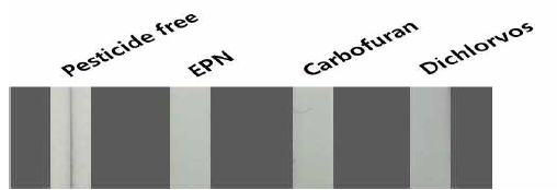 100ppb의 EPN, Carbofuran, Dichlorvos에 대한 검출 실험 결과