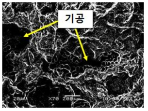 인장시험편의 파단면 SEM Image