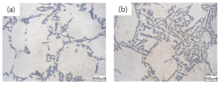 Ti 및 Ti & Sr 첨가된 LFC 주조시편의 전형적인 주조 미세조직: (a) Ti 첨가합금, (b) Ti & Sr 동시첨가합금