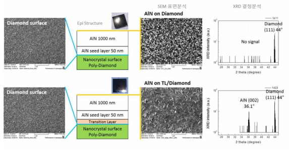 poly-diamond 위 transition 층을 이용한 AlN buffer 층 성장