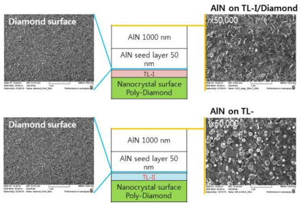 TL층 최적화에 따른 AlN 결정화