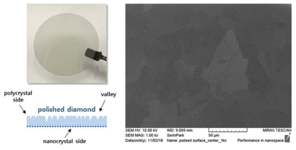 CVD 법으로 성장된 Poly-diamond 기판
