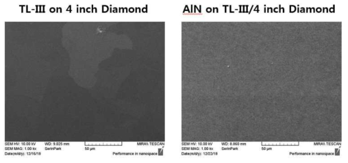 4인치 poly-diamond 기판위에 성장된 TL 층 및 AlN 박막 표면