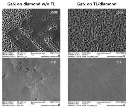 TL층 유무에 따른 poly-diamond 위 GaN 박막 성장