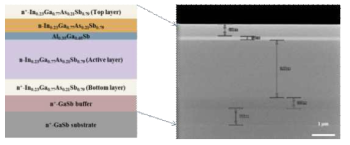 적외선 어레이 소자 제작용 에피 구조 단면도 및 성장된 기판의 SEM 이미지
