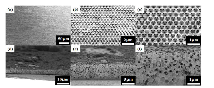 최적화된 조건으로 제작한 Inverse-opal 전극의 SEM 이미지: (a-c) 표면 방향 (d-f) 단면 방향