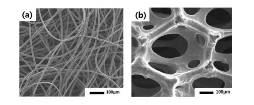 (a) Carbon felt와 (b) Cu foam의 SEM 이미지