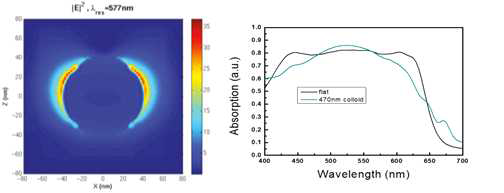 (좌) 금 나노입자의 FDTD 및 시뮬레이션 결과 예시(우)