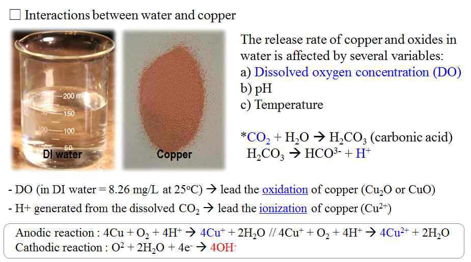 산화/환원 반응에 의한 구리의 용해과정을 보여주는 반응식