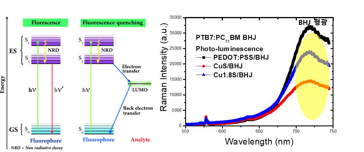 (a) 형광 quenching 메카니즘, (b) Cu2-xS 첨가에 따른 유기반 도체 형광 quenching 효과