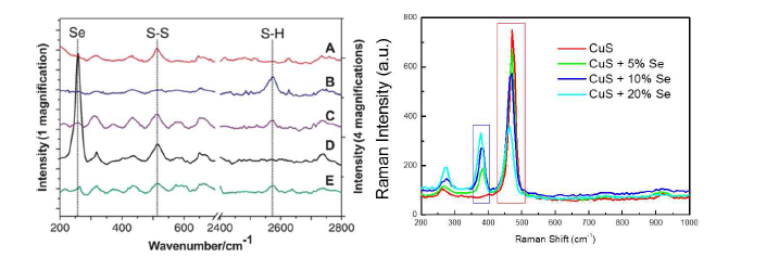 Se 및 S-S 결합 기존 Raman spectra reference (왼쪽) 및 Se 도핑 양에 따른 Cu2-xSySe1-y Raman spectra 결과 (오른쪽)