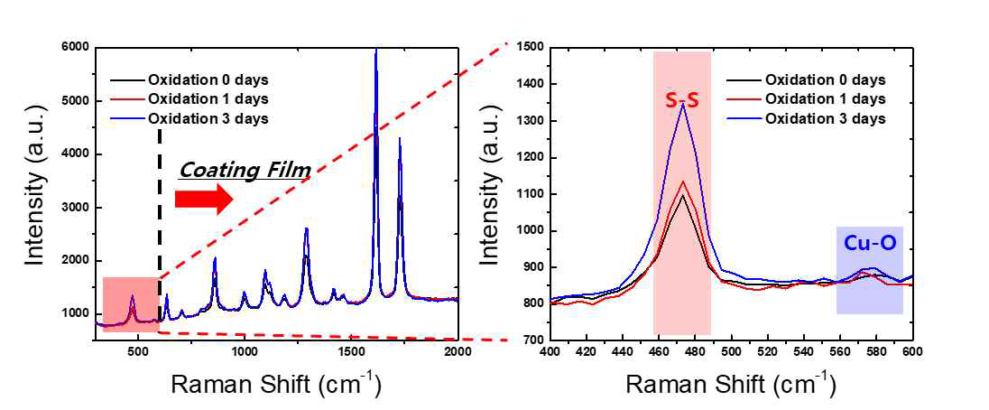 Cu2-xSySe1-y 나노분말 적용 필름의 Raman spectra 결과