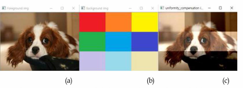 (a) 원 영상, (b) 배경영상, (c)배경색의 공간적인 밝기의 비 균일성 보상이 적용된 영상