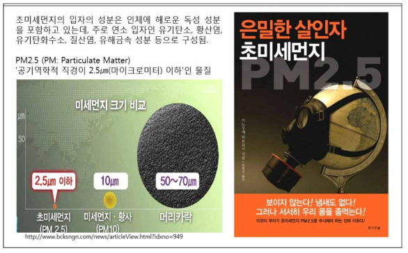 초미세먼지 PM 2.5
