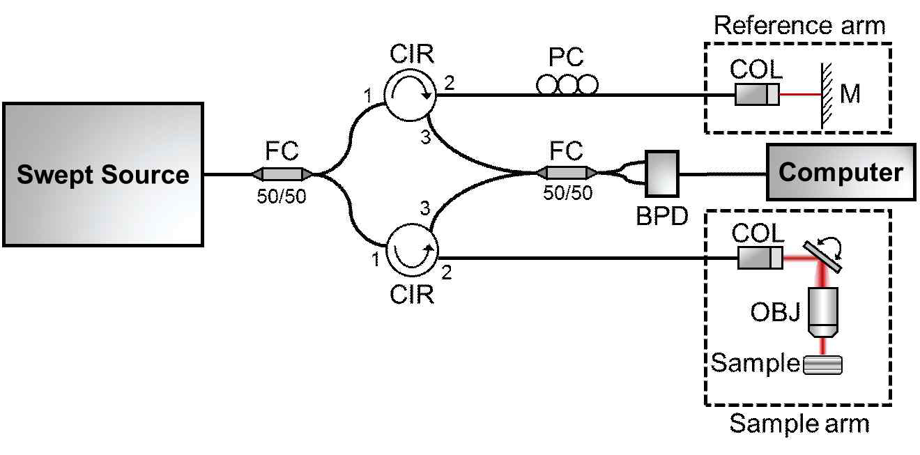 광섬유 프로브 기반의 SS-OCT 시스템 구성도. FC: fiber coupler, CIR: circulator, PC: polarization controller, BPD: balanced photodetector, COL: collimator, M: mirror, OBJ: objective lens