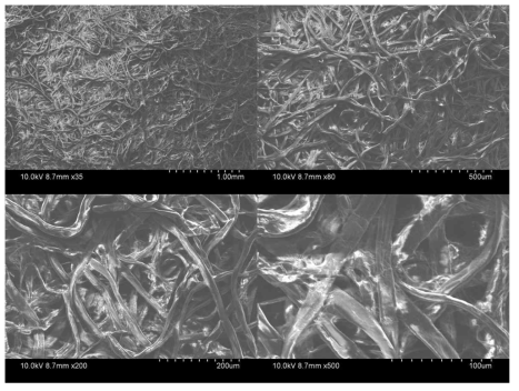 셀룰로오소 필터가 적용된 표면 SEM 이미지