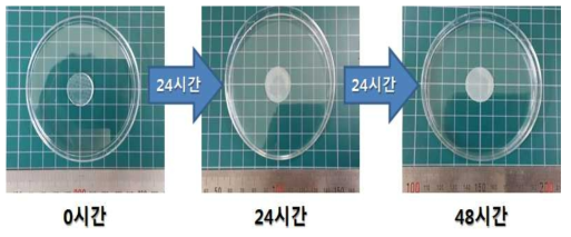 흡수율 실험 결과