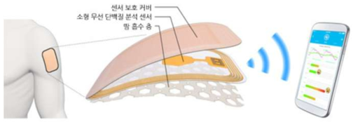 땀분석 센서기반의 생체정보 모니터링 시스템