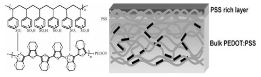 PEDOT:PSS 화학구조 및 성막시 수직적 상분리 현상