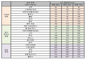 운동량에 따른 칼로리 소비 예시