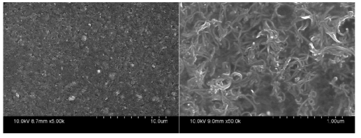 PEDOT:PSS/MWCNT 표면이미지