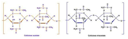 디아세테이트 섬유와 트리아세테이트 섬유의 화학구조