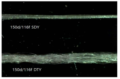 150d/116f SDY, DTY 원사 측면 현미경 사진
