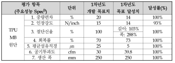 1차년도 개발 목표 달성도