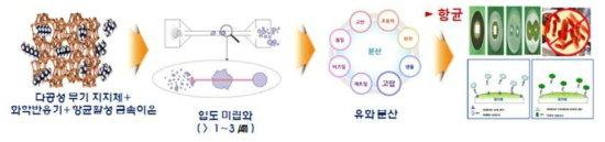 유화 분산 및 바인더 활용을 통한 항균제 부여