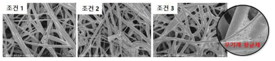 항균제 농도 조건별 SEM 이미지