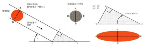 혈흔 충돌 각도 계산