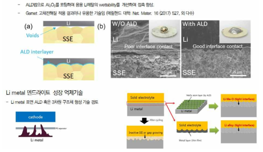 리튬메탈 덴드라이트 성장 억제 기술