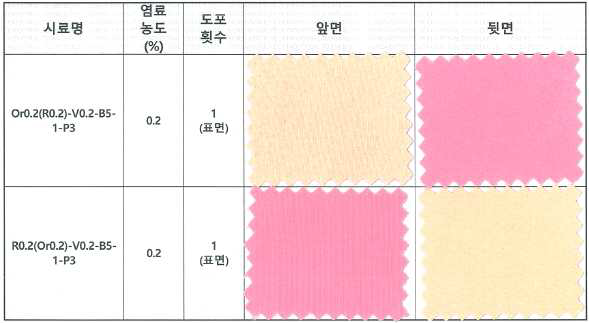 양면 염색실험 결과 이미지