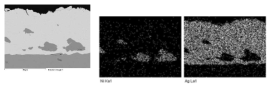 SEM 단면 및 원소 mapping