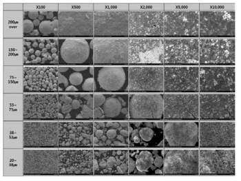 플라즈마 Ag 분말의 크기별 FESEM 측정 결과