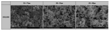 플라즈마 Ag 분말의 고배율 FESEM 측정 결과