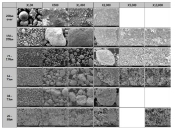 플라즈마 분말의 크기별 FESEM 측정 결과