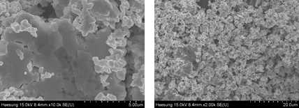 FESEM Image X10,000(좌), X2,000(우)