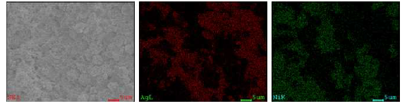 혼합된 Ag-Ni 분말의 FESEM 및 EDAX 분석 결과