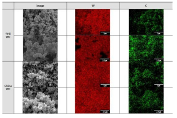 WC 분말의 FESEM 및 EDAX 분석 결과