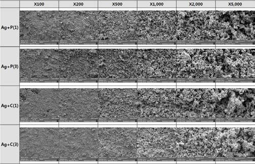 1차 혼합 TEST 분말의 FESEM 측정 결과