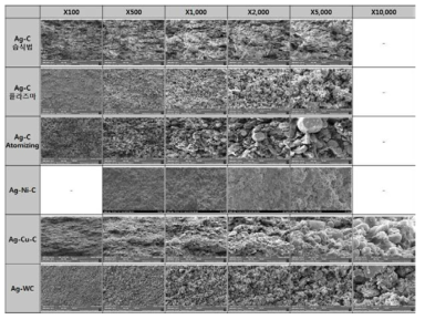 성형체 내부 Micro Structure FESEM 측정 결과