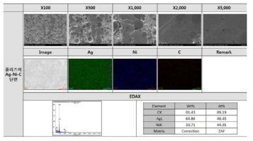 플라즈마 분말 Ag-Ni-C 소결체의 FESEM 및 EDAX 분석 결과