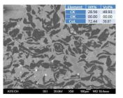 Ag-흑연 메탈하이브리드 분말의 미세조직 및 EDAX 분석