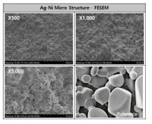 Ag-Ni 성형체의 FESEM 분석 결과